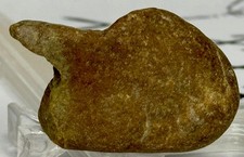 Autentico manufatto indiano