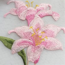 Stupendo Giglio Pizzo