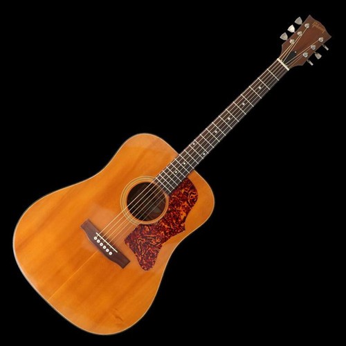Rara chitarra acustica vintage