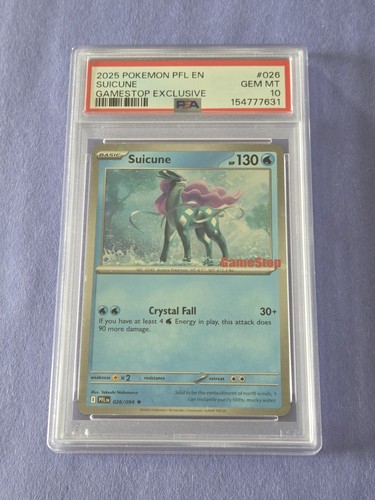 Suicune fiamme fantastiche - suicune,
