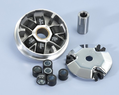 241 632 variatore polini - 241.632,
