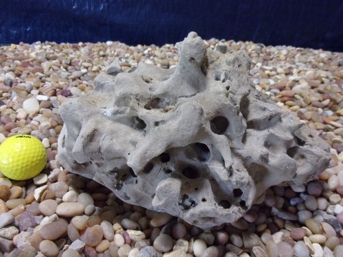 Texas holey rock - texas/tn,