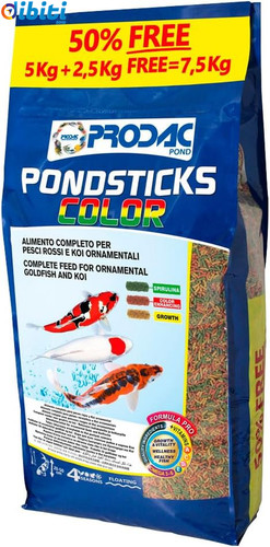 Carpe koi pesci rossi laghetto - koi,