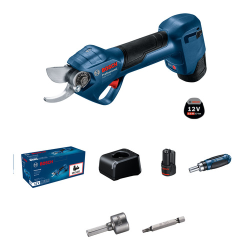 Bosch ggp 12v professional - 12v-25,