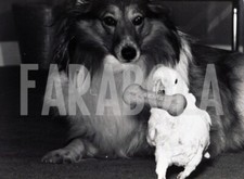 Foto vintage Regno Unito