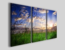 Quadro Tramonto su prato verde