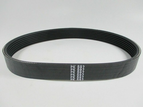 Cinghie cinghia 7pk597 - cinghia,