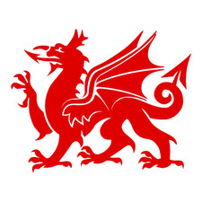 Adesivo In Vinile Drago Welsh