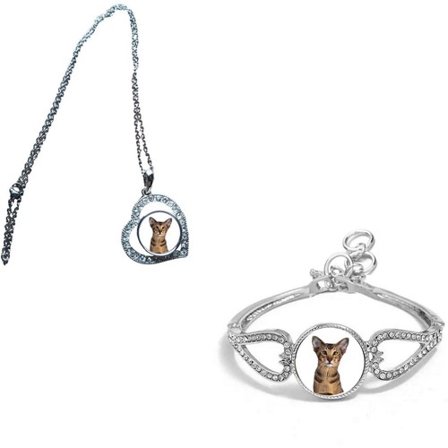 Set oriental cat pet - oriental,