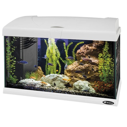 Acquario ferplast - acquario,