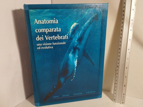 Anatomia comparata dei - anatomia,