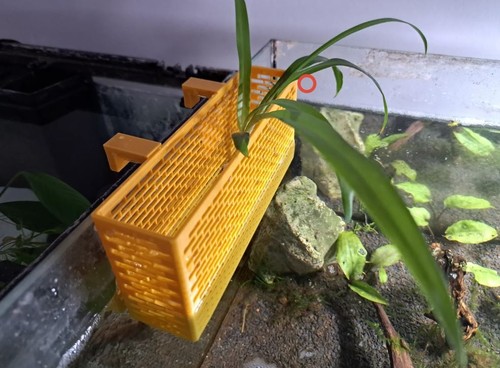 Supporto piante acquario - supporto,