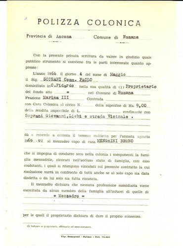 1966 numana polizza - numana, (an)