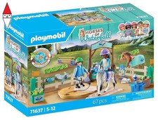 COSTRUZIONE PLAYMOBIL SCUOLA DI EQUITAZIONE - HORSES OF WATERFALL