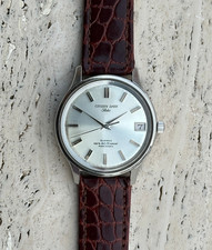 Citizen Date Flake Oversize