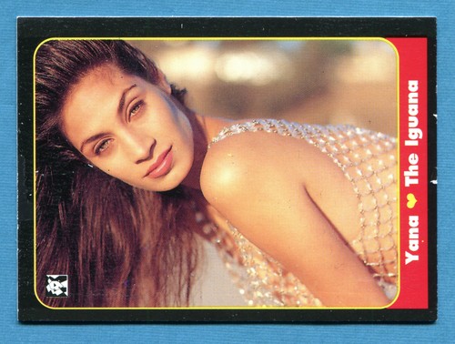 Bellissime masters cards - bellissime,