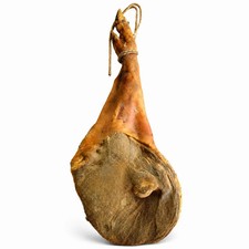 SPALLA di CINTA SENESE