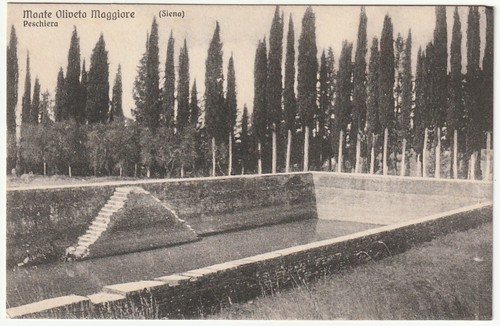 Monte oliveto maggiore - monte,