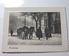 TORINO-Foto "Lo Spartineve"