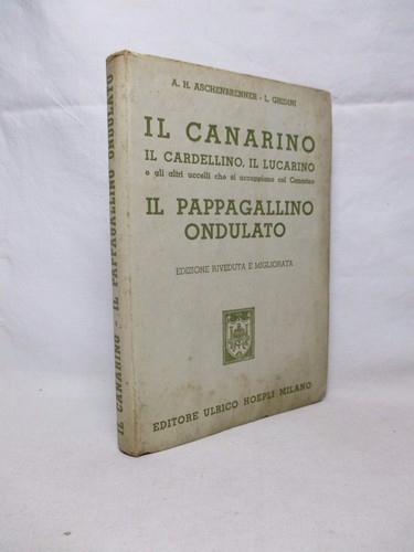 Canarino cardellino il - cardellino,