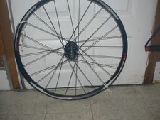 Easton Havoc DH Mountain Bike