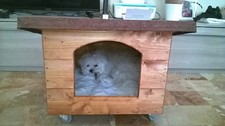 Cuccia cani gatti legno - cani/gatti,