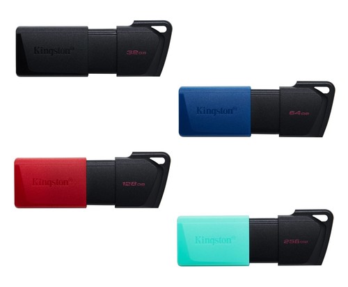 Chiavetta usb kingston - usb,