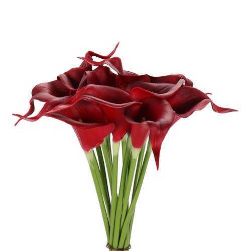 Pezzi gigli calla - 12, di