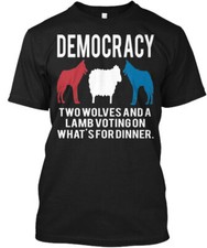 T-shirt Democracy Quote Stock