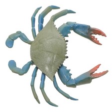  Granchio Giocattolo Adorabile