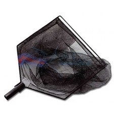 Testa Guadino Gamberi