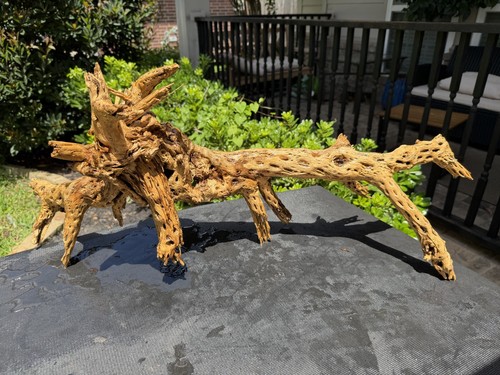Cholla driftwood acquari pesci - cholla,