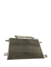 A1695000354 RADIATORE CLIMA