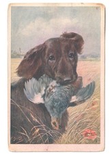 1917 cartolina scena caccia cane preda in bocca campo di grano papaveri
