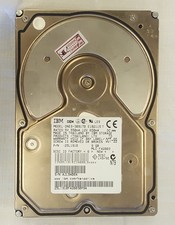 Hard disk IBM  DNES-309170 -