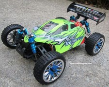  RC Brushless Electric Buggy /