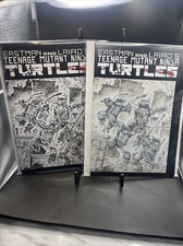 Due fumetti Eastman e