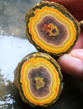 1 paio rare fette di cristallo