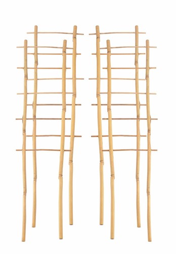 Bambus spalier 60cm - 4x,