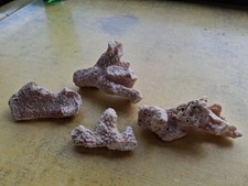 Acquario Serbatoio Pesci