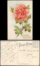 Compleanno Birthday red rose