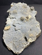 NATURAL LARGE CORAL SPECIMEN