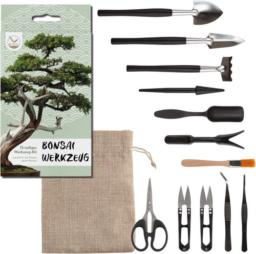 Kit bonsai attrezzi pezzi - kit,