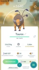 Pokémon Go - Tauros  + one