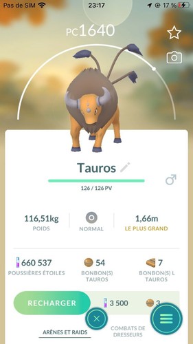 Pokémon tauros one - pokémon,