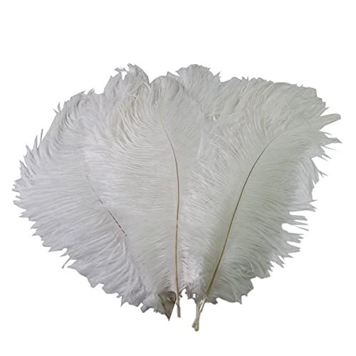 Piume struzzo bianche - 50, di