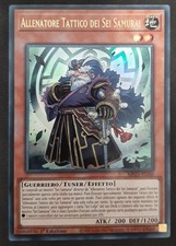 ALLENATORE TATTICO DEI SEI