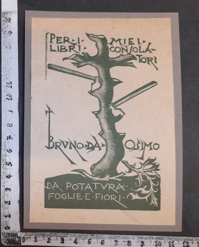 Wunderkammer exlibris 386 - 386,