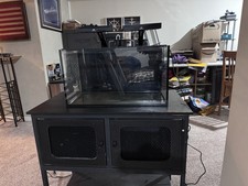 Complete 20 Gallon Reef Setup