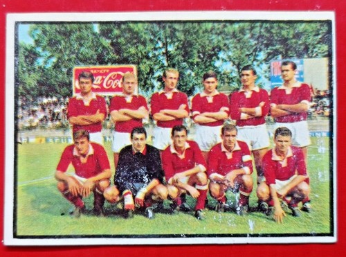 Monza squadra calcio - monza,